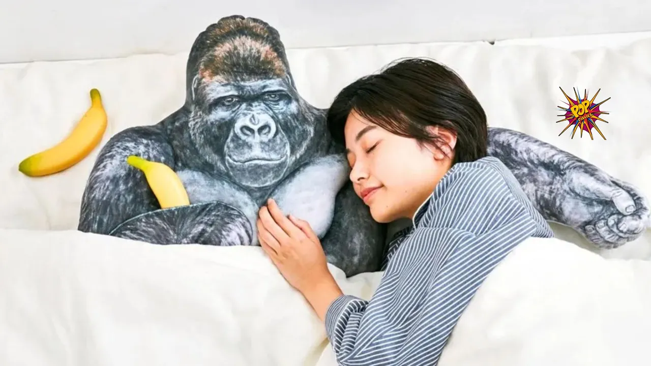Japan's Hunky Gorilla Shabani: The Heartthrob Turning Heads and Breaking Hearts