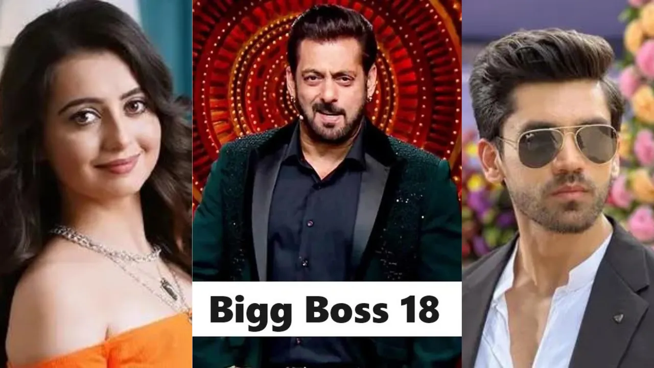 Bigg Boss 18 Contestants