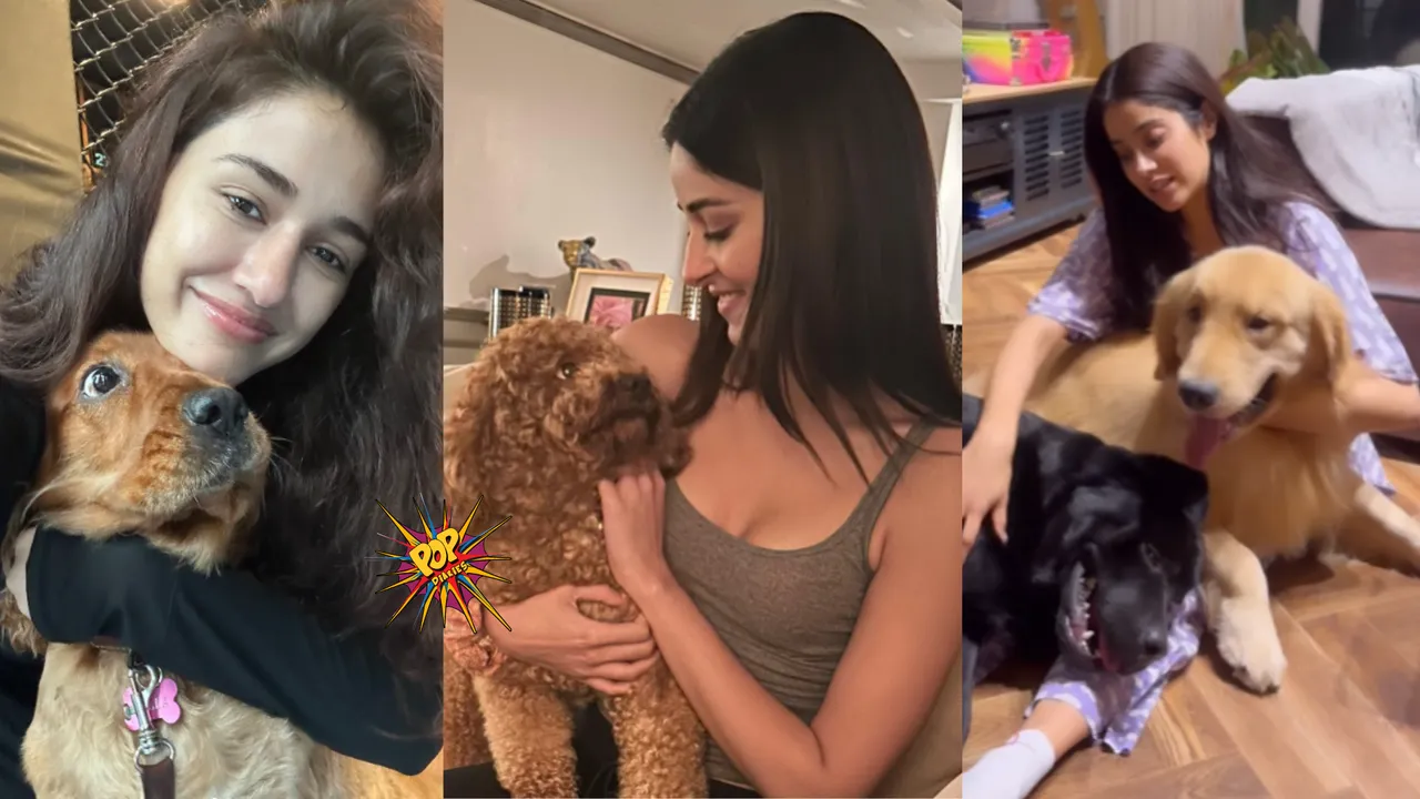 Bollywood Actresses Their Adorable Pet Moments We Love.png