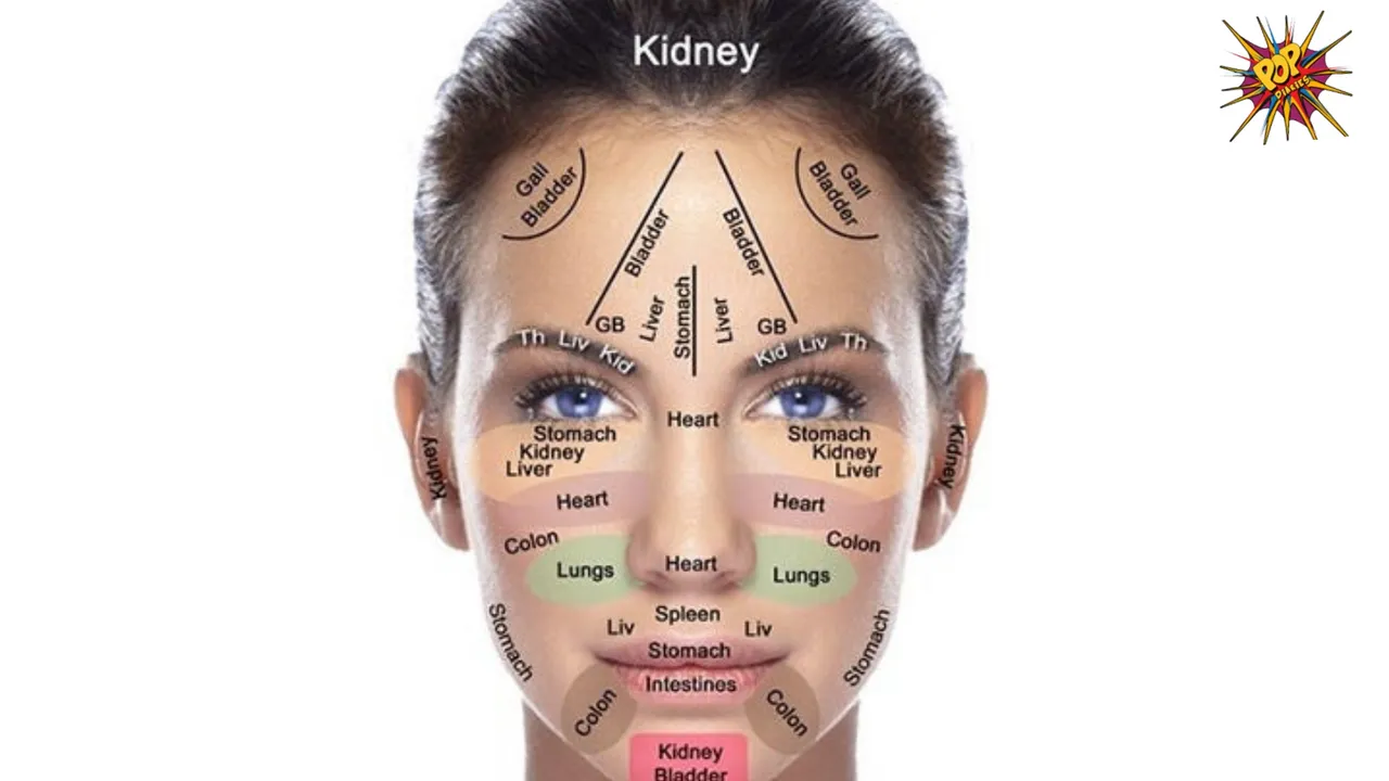 Chinese Face Mapping: What acne spots on your face mean