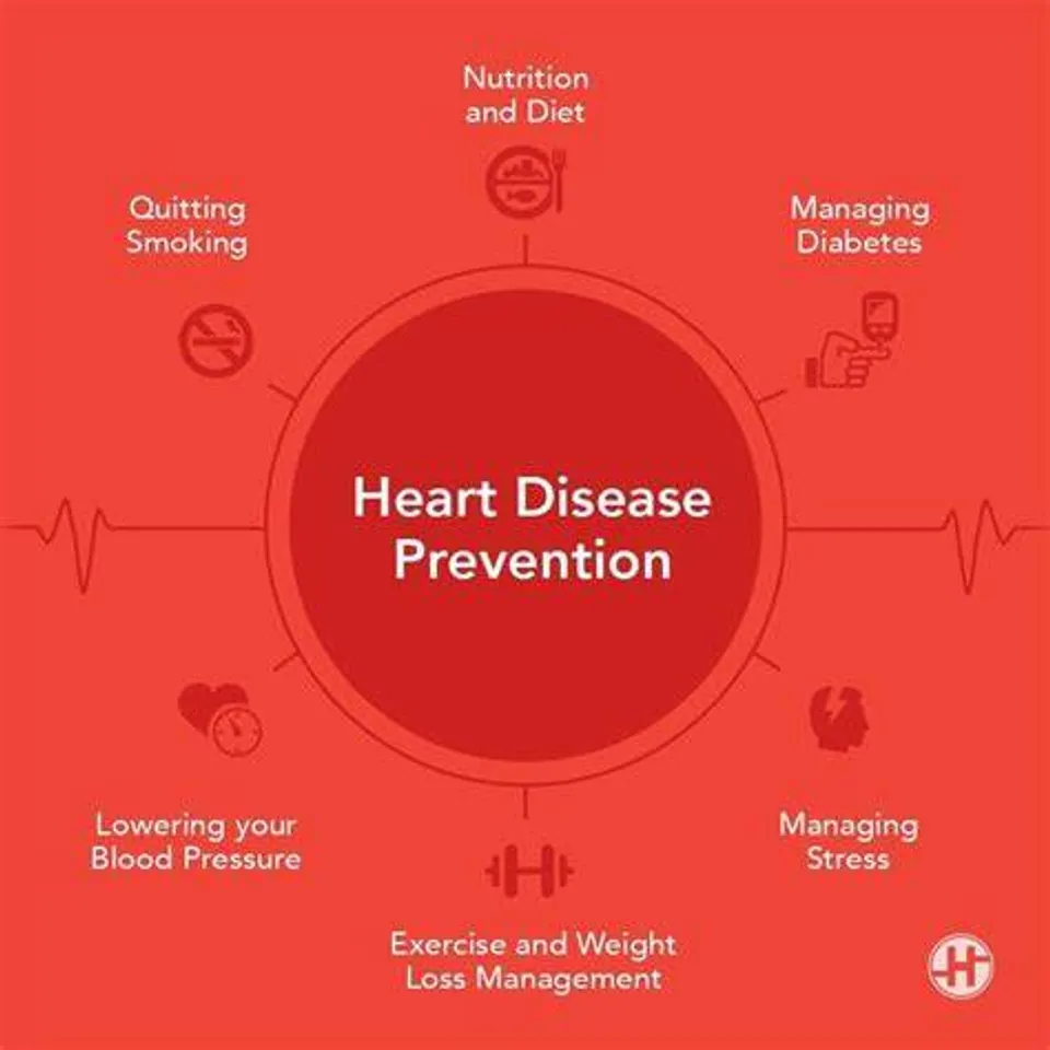  Heart Disease Risk