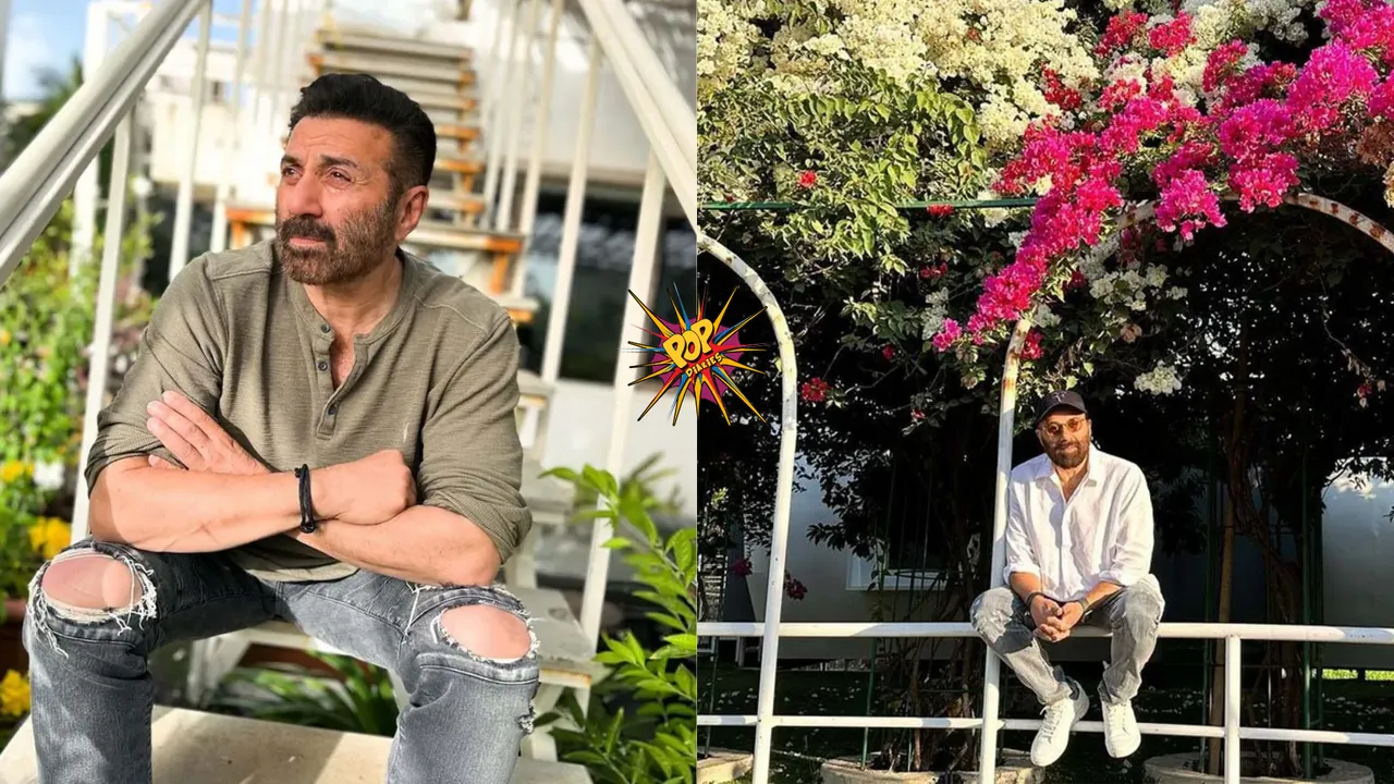 sunny deol lifestyle properties.png