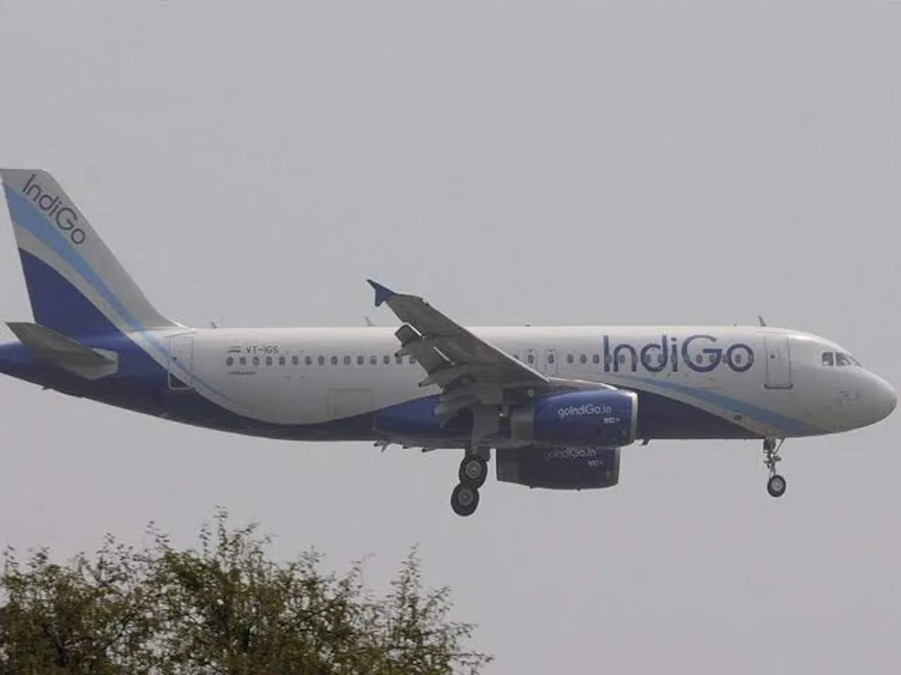 IndiGo flight issue : CEO said that "the child was in a panic situation".