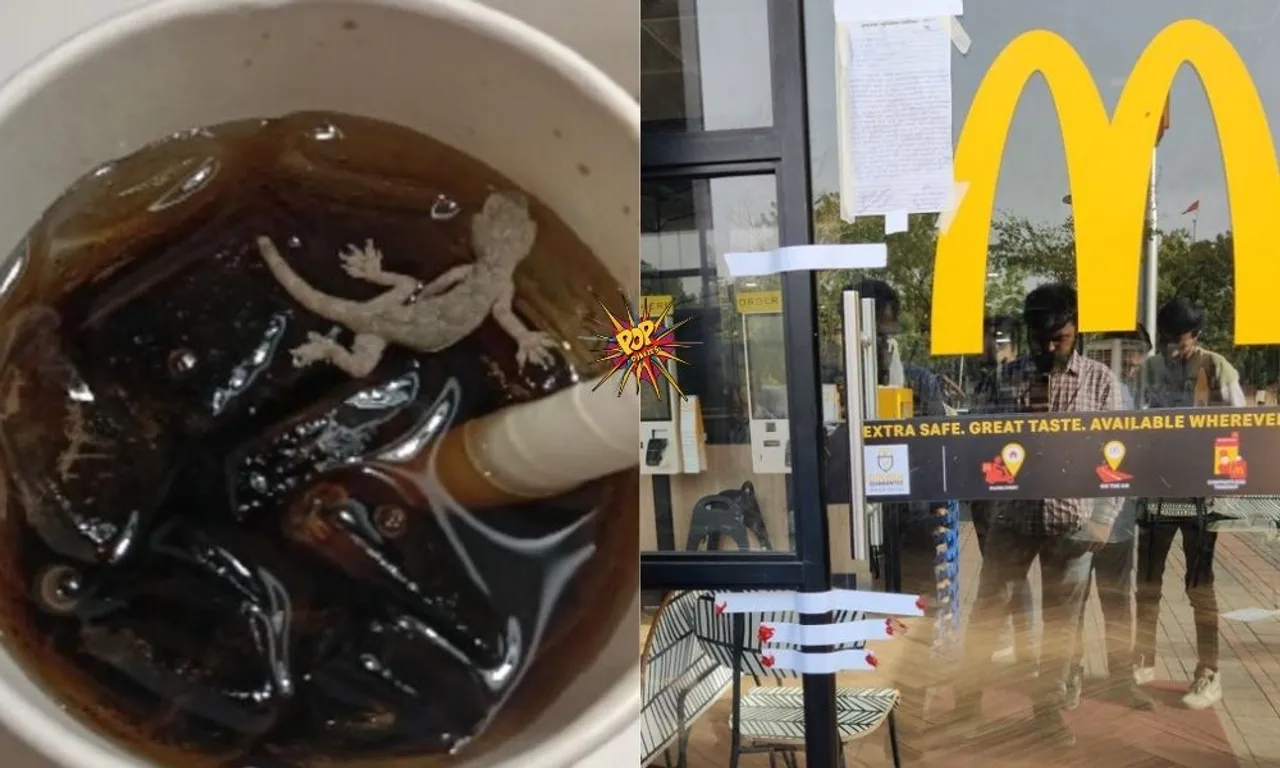 Disgusting! Dead Lizard Found Floating In McDonald's Soft Drink In Ahmedabad 