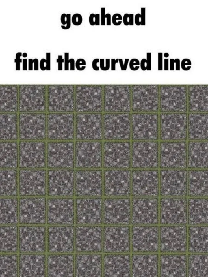 No 1 Optical Illusion Has Made People Crazy On The Internet , Find Curve Challenge :