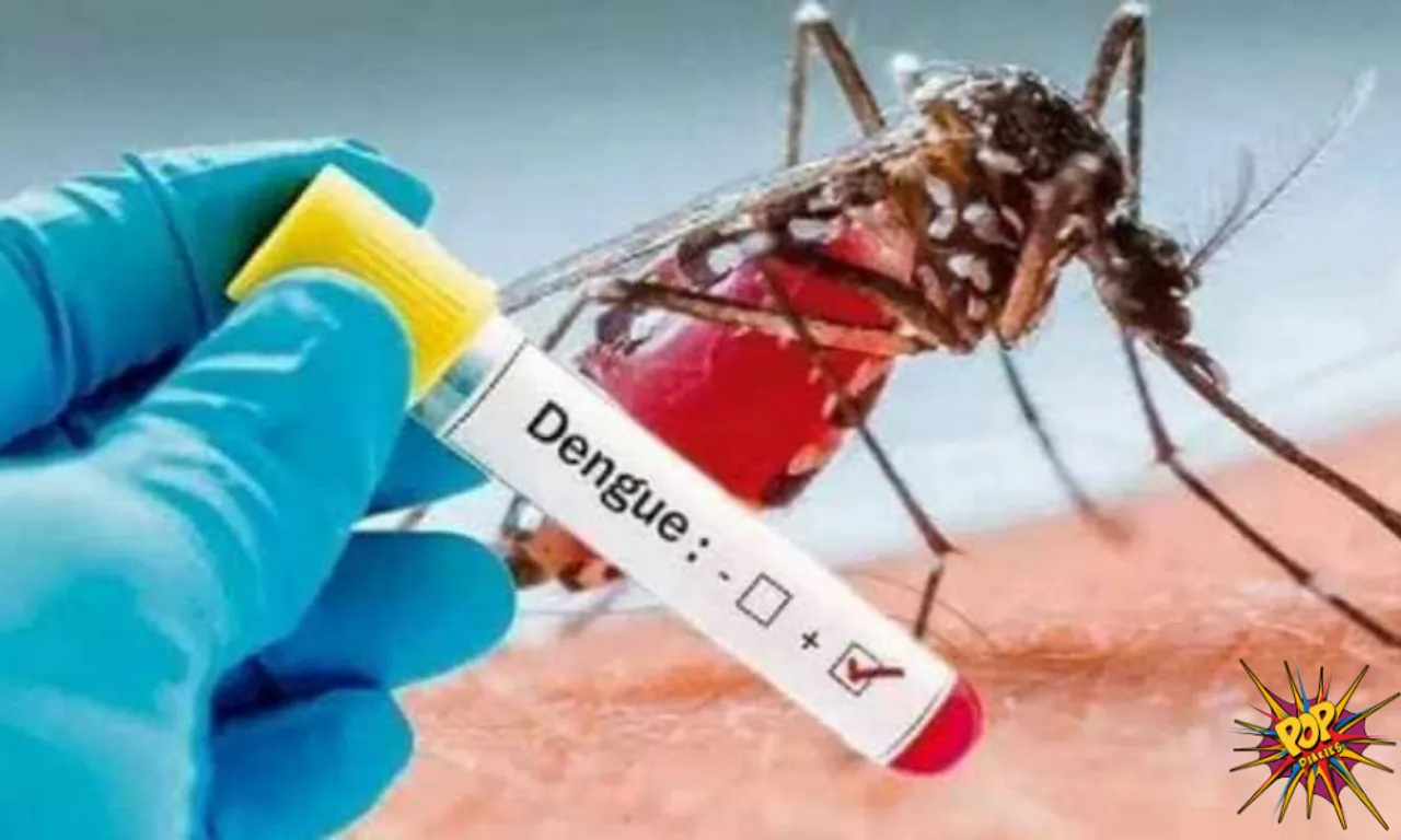 Warning: Dengue's new D2 strain can lead to high grade fever and shock syndrome, know How to stay safe: