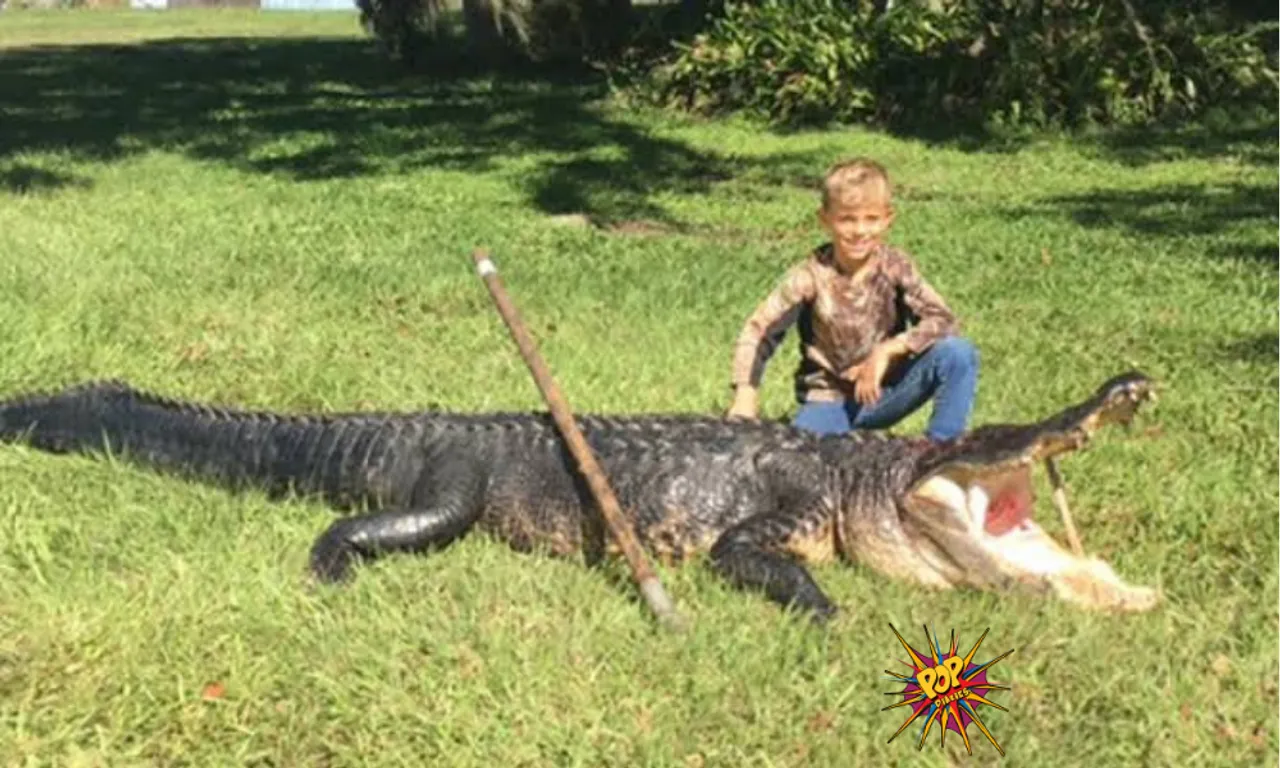 Florida: Alligator takes away child's fish in viral video, know what happened: