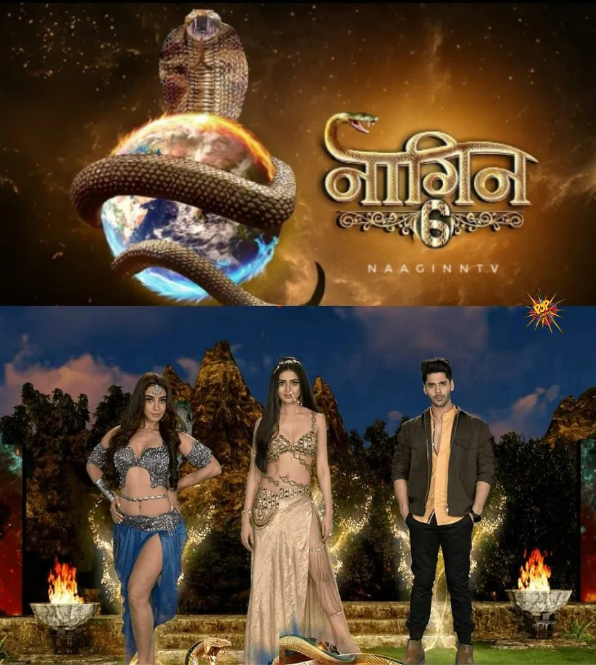 Here is the income of Naagin 6 stars.