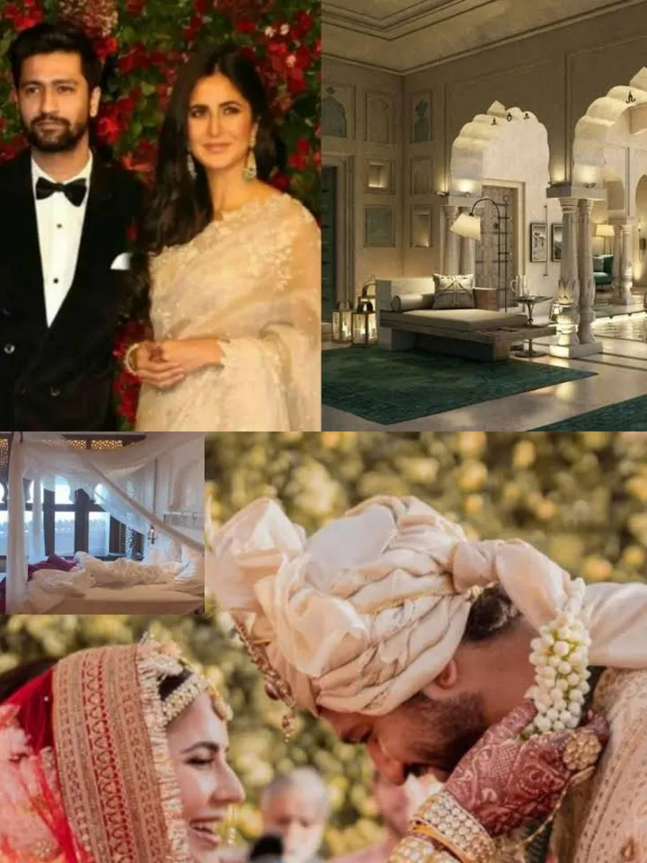 Wow : In Vicky kaushal Wedding Tour given by his Brother, the Guest room were with 6 Lakh rupees Motion Senser Toilet, Know more :