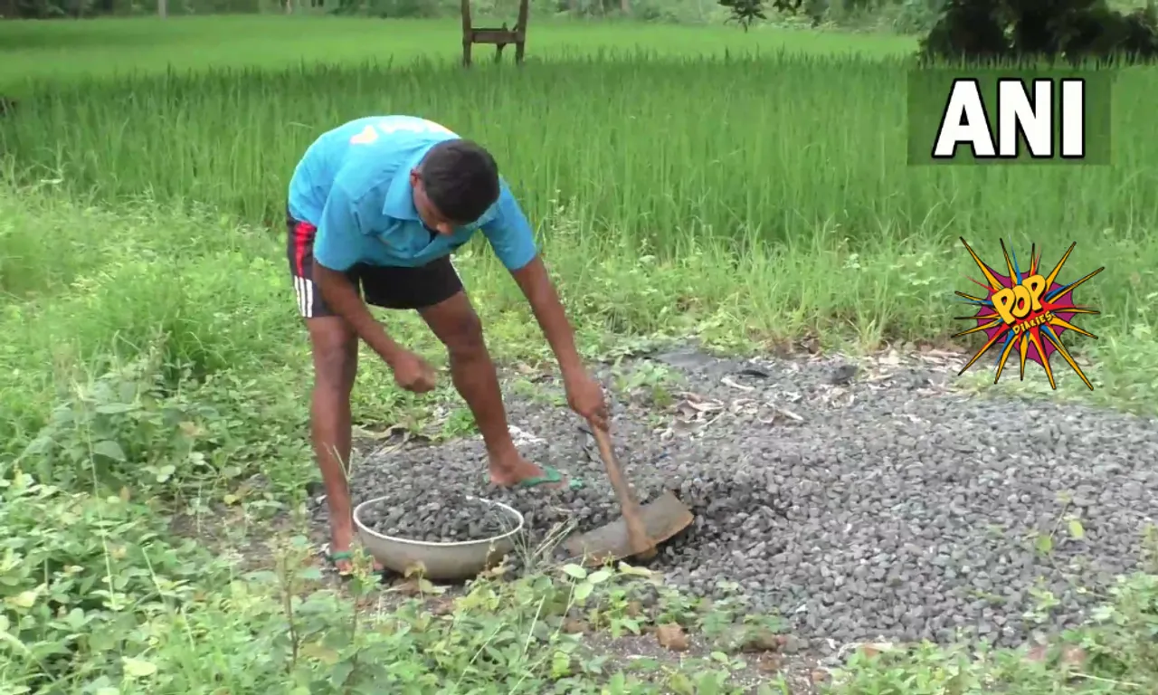 One of Indian Cricket Worldcup Winner Now Forced to Work as a Labourer for livelihood