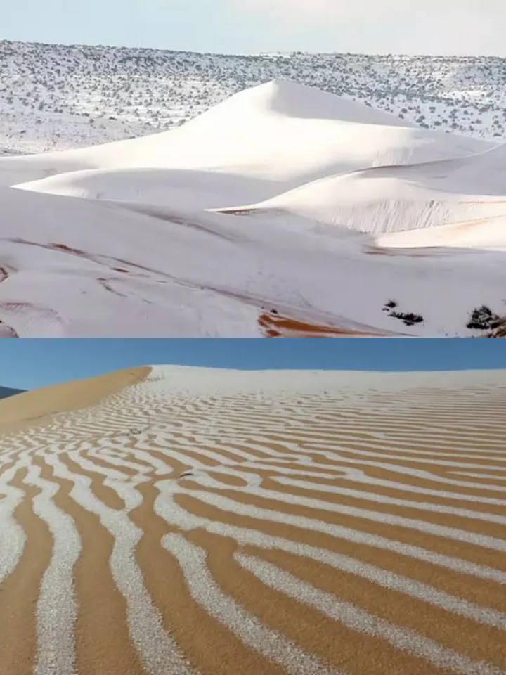 Unbelievable : Sahara Desert Gets Heavy Snowfall , How can this happen Know Below :