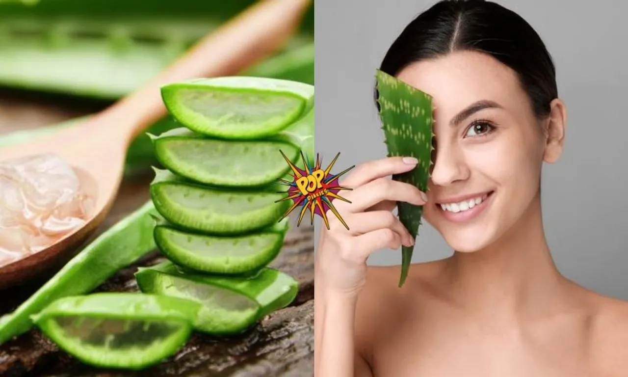 Aloe Vera Face Packs: Definitely try these 5 Aloe Face Packs to get rid of all skin problems!