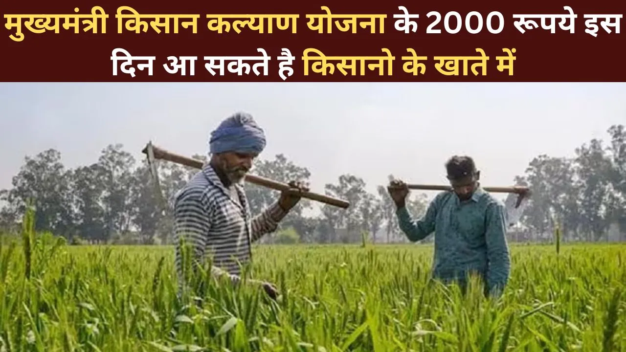 मुख्यमंत्री किसान कल्याण योजना के 2000 रूपये इस दिन आ सकते है किसानो के खाते में फटाफट कर ले यह काम