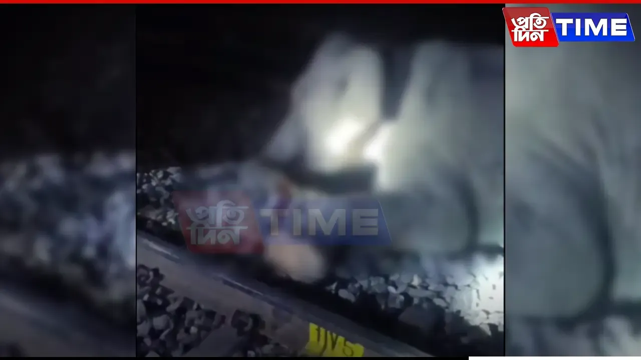 A wild elephant was killed in a train accident in Assam