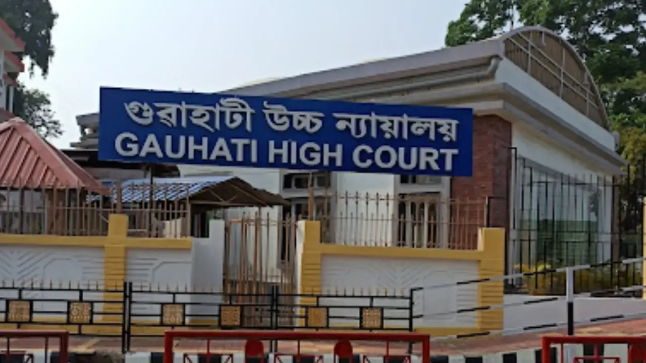 The Gauhati high court has allowed a five month pregnant rape survivor to terminate her pregnancy