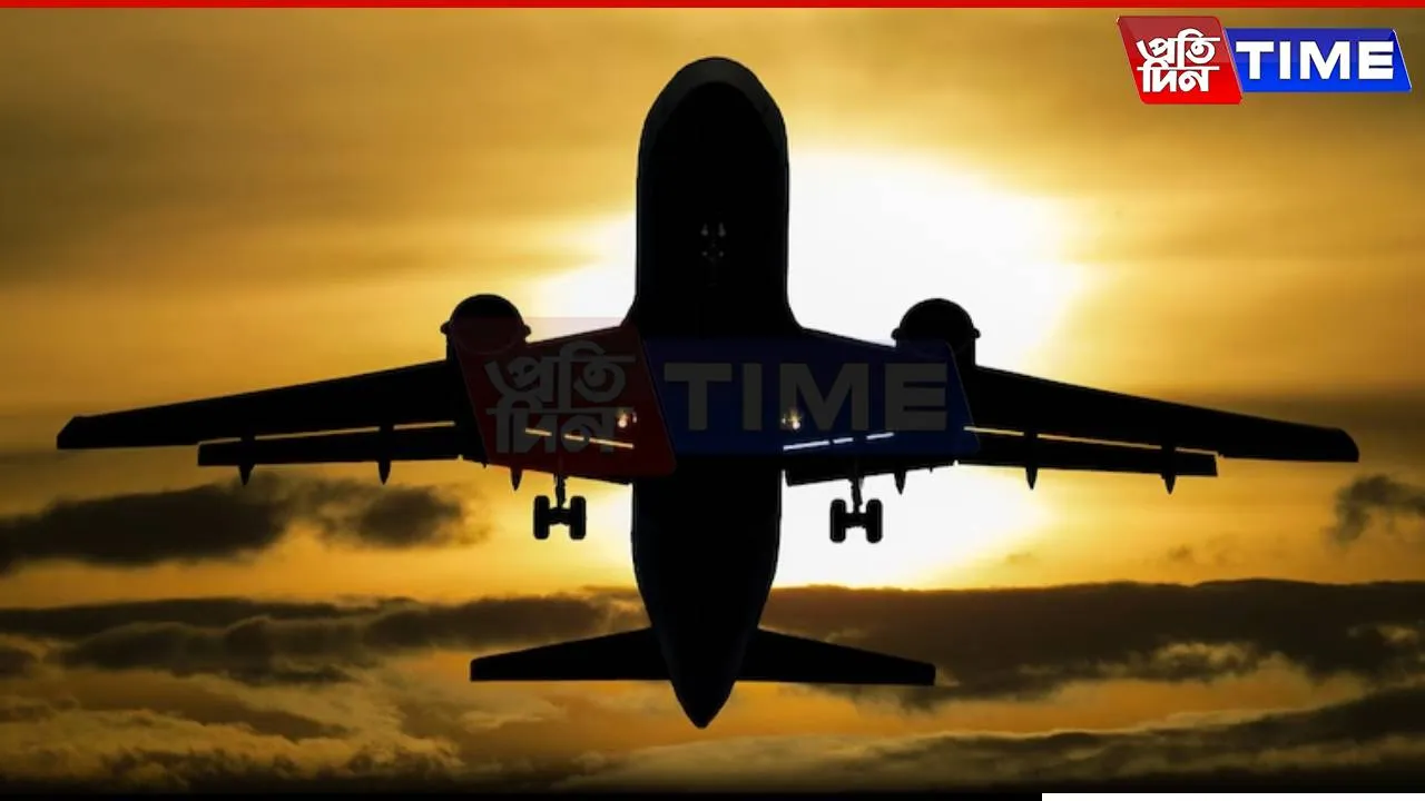 India’s Domestic Air Traffic Rose By 11%  In January