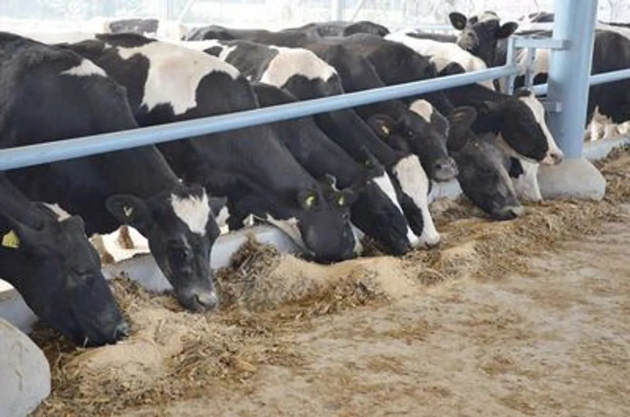 Union Cabinet Approves Rs 3,880 Cr Plan for Livestock Health