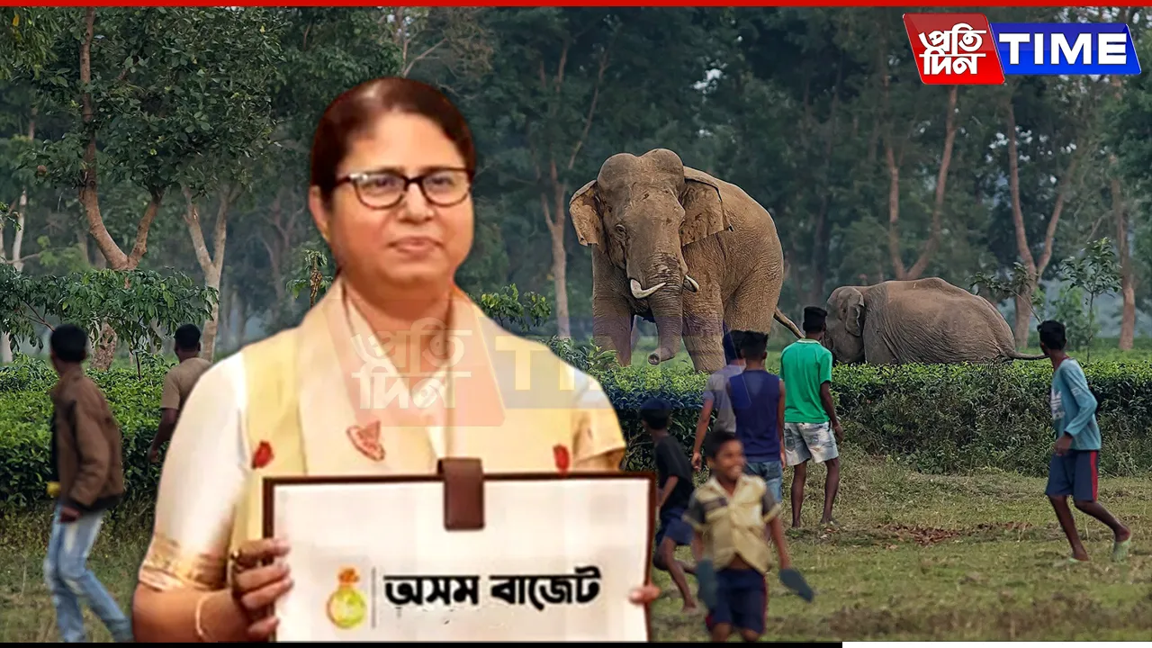 Assam Budget: New Initiatives to Curb Human-Wildlife Conflicts