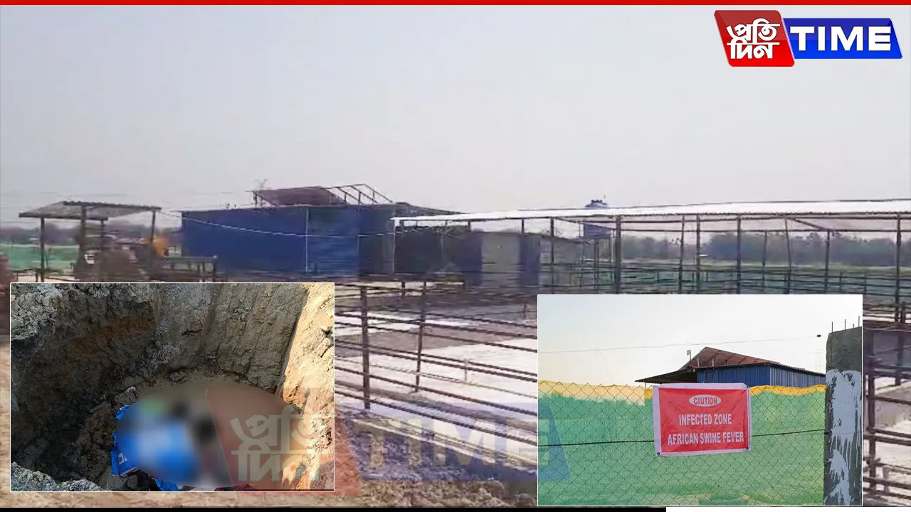 African Swine Fever Outbreak in Sonitpur