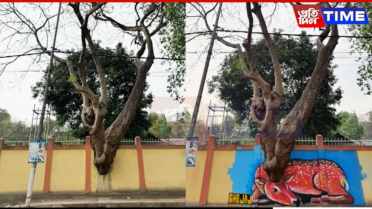 'Don’t cut trees, do make it creative''- The Street Art That Caught Attention