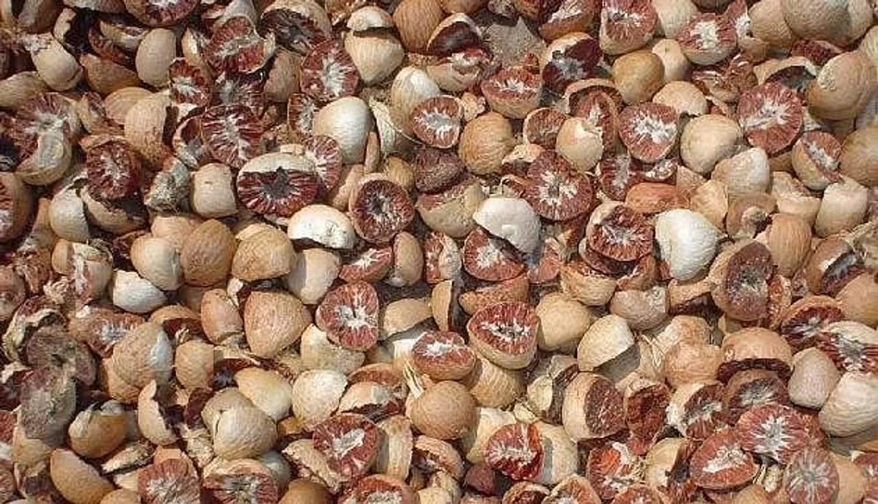 Assam: Smuggling Bid Foiled, 2000 kgs Burmese Supari Seized in Cachar