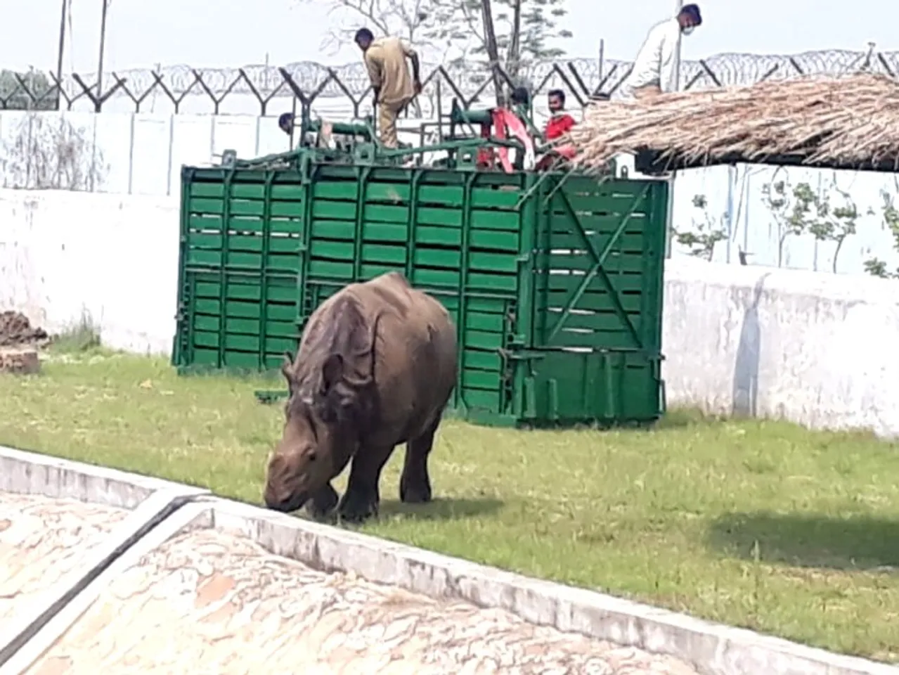 Yogi Adityanath Welcomes 2 Assam Rhinos At Gorakhpur Zoo