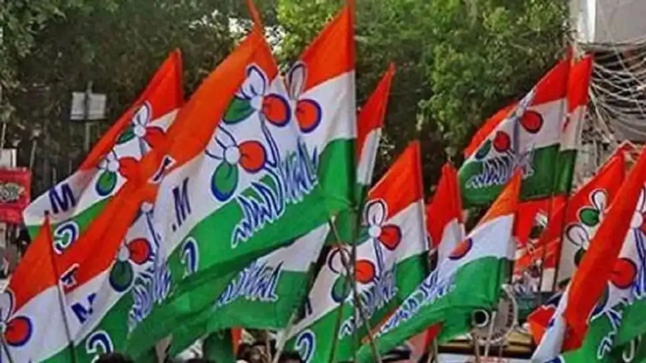 Assam: TMC's Chitta Ranjan Pal Resigns As General Secretary