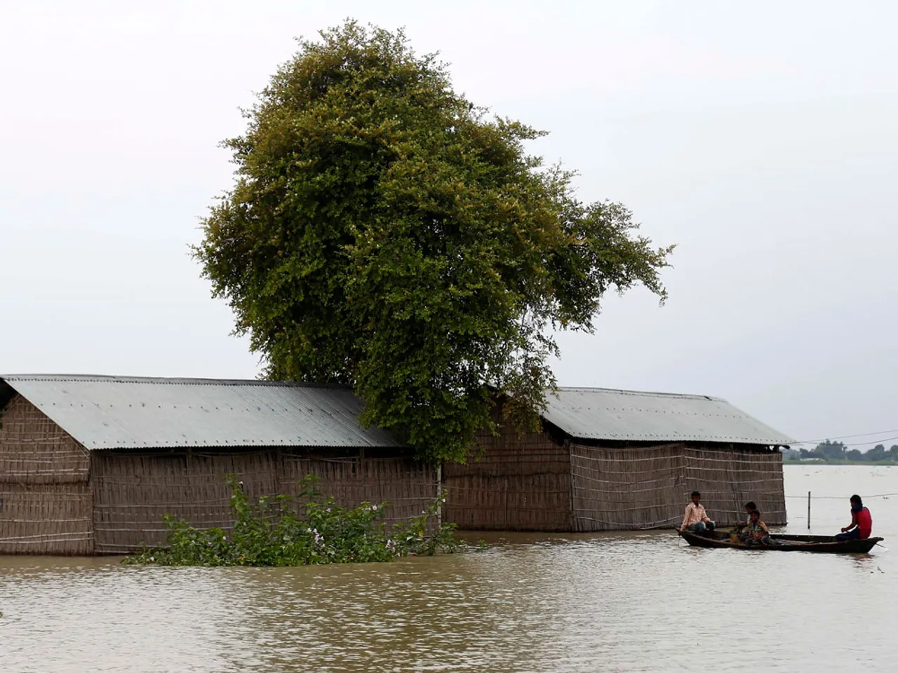 Assam: Torrential Rains Triggered Floods in South Salmara Mankachar District