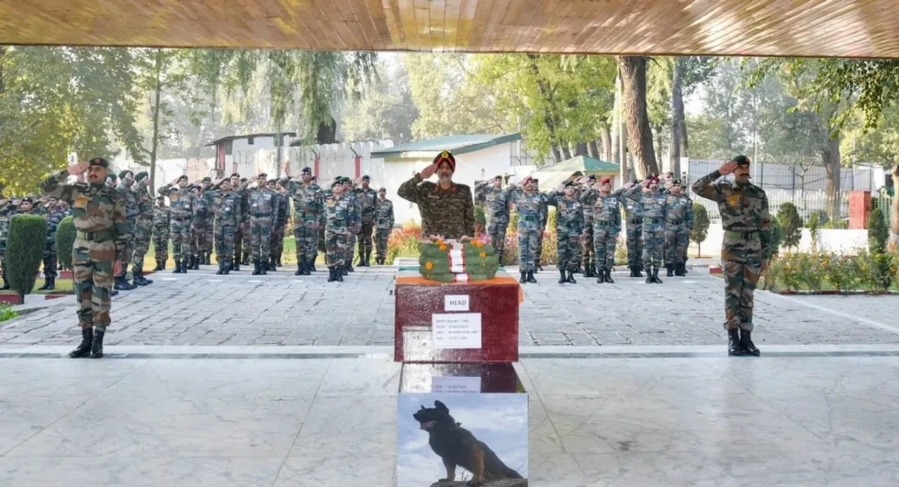 Indian Army Pays Tribute To Martyred Canine Warrior 'Zoom'