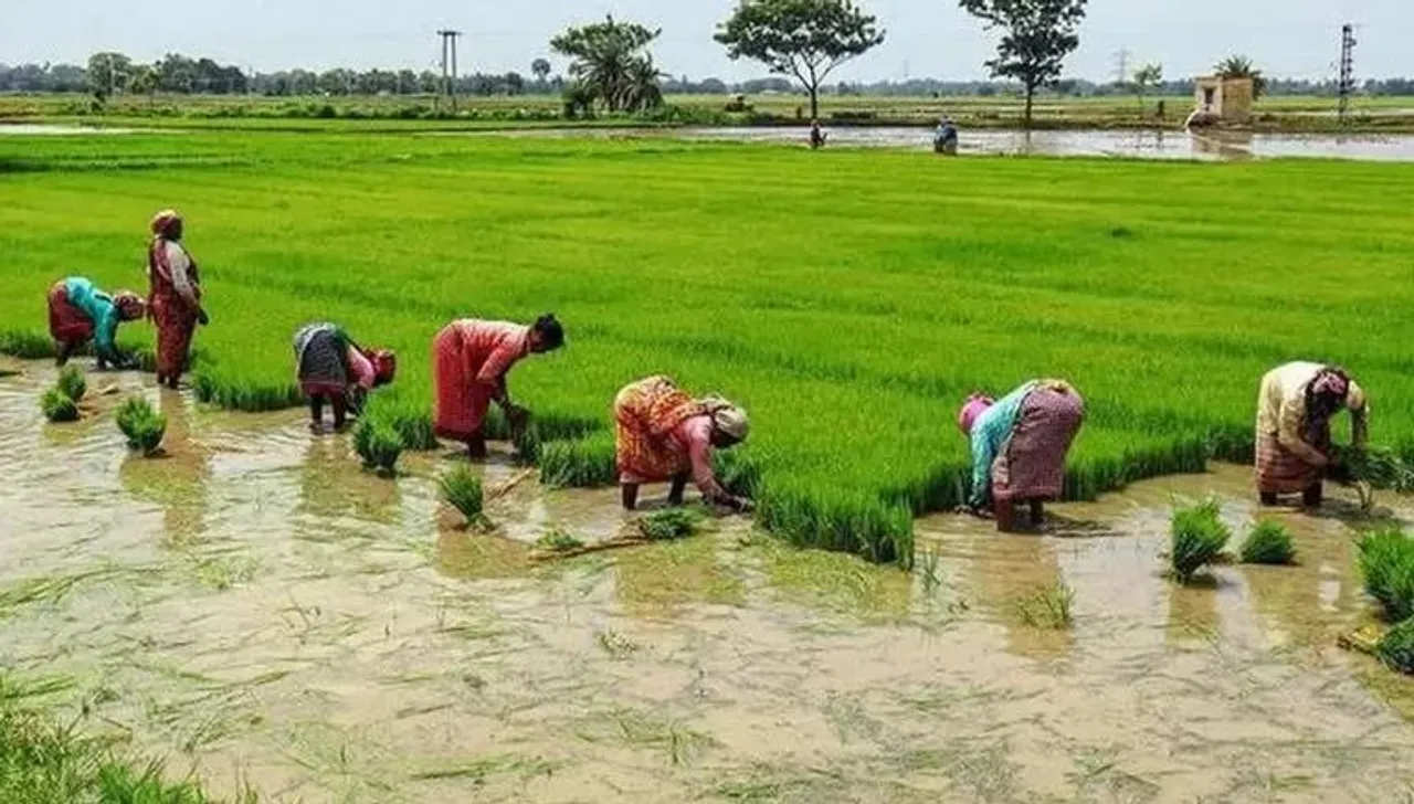 Rains Impacting Kharif Crops, Food Inflation to be Affected: SBI Research