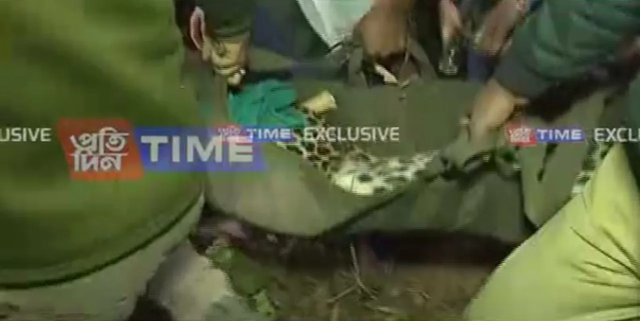 Leopard Attacks Guwahati Man in Ganeshpara