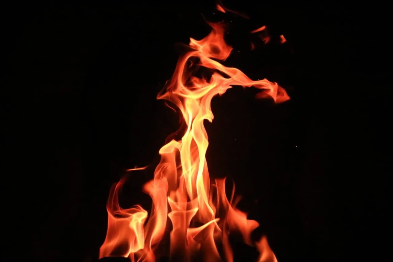 Assam: Massive Fire Breaks Out At Nursery In Rupohihat