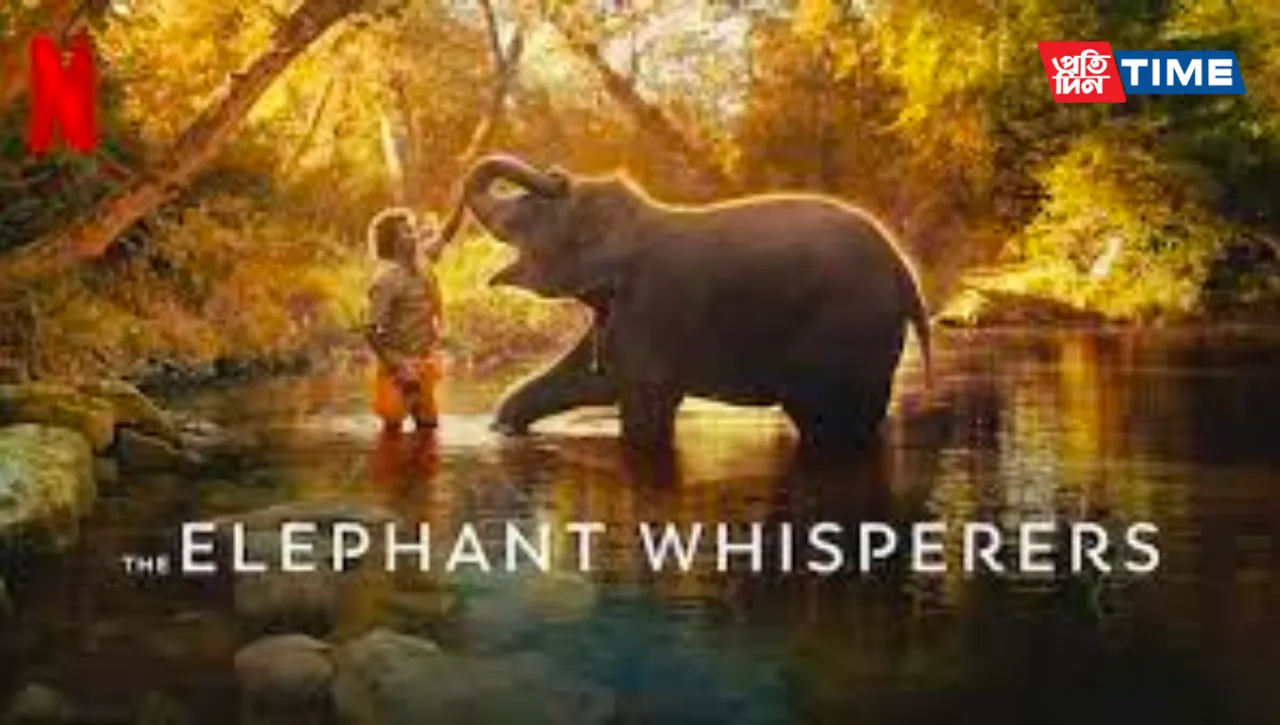 Oscars 2023: The Elephant Whisperers- All You Need To Know About The Indian Documentary