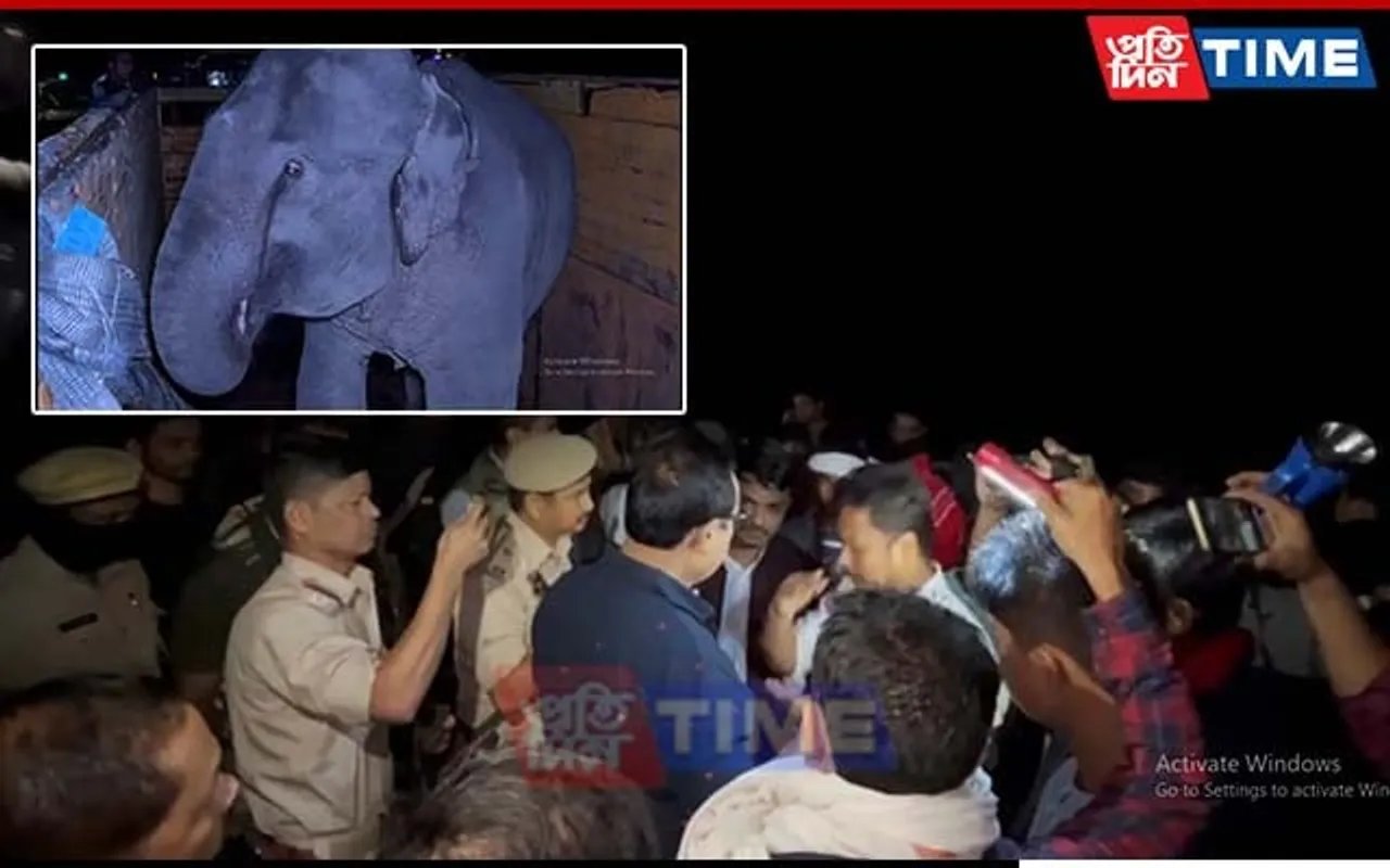 Tension Erupts in Tinsukia After Elephants Translocated To Gujarat