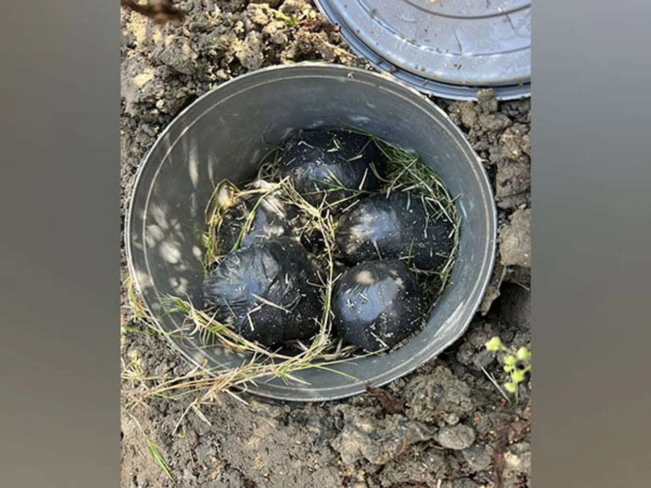 10 Bombs Recovered From Delhi's Metro Vihar; One Held