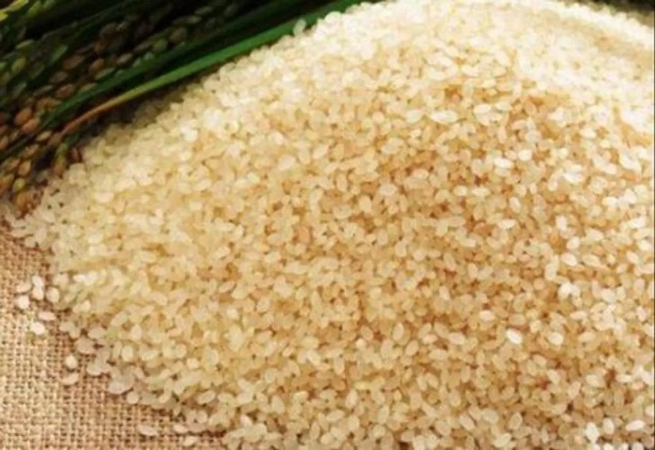Assam’s Joha Rice Effective in Preventing Diabetes: Study