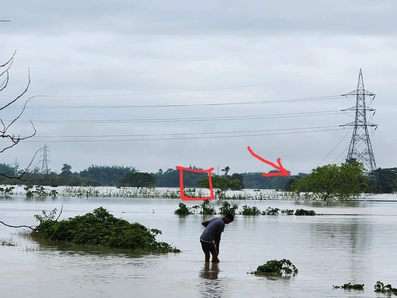 Power Crisis Grips Barpeta Electrical Sub-Division, Lower Assam