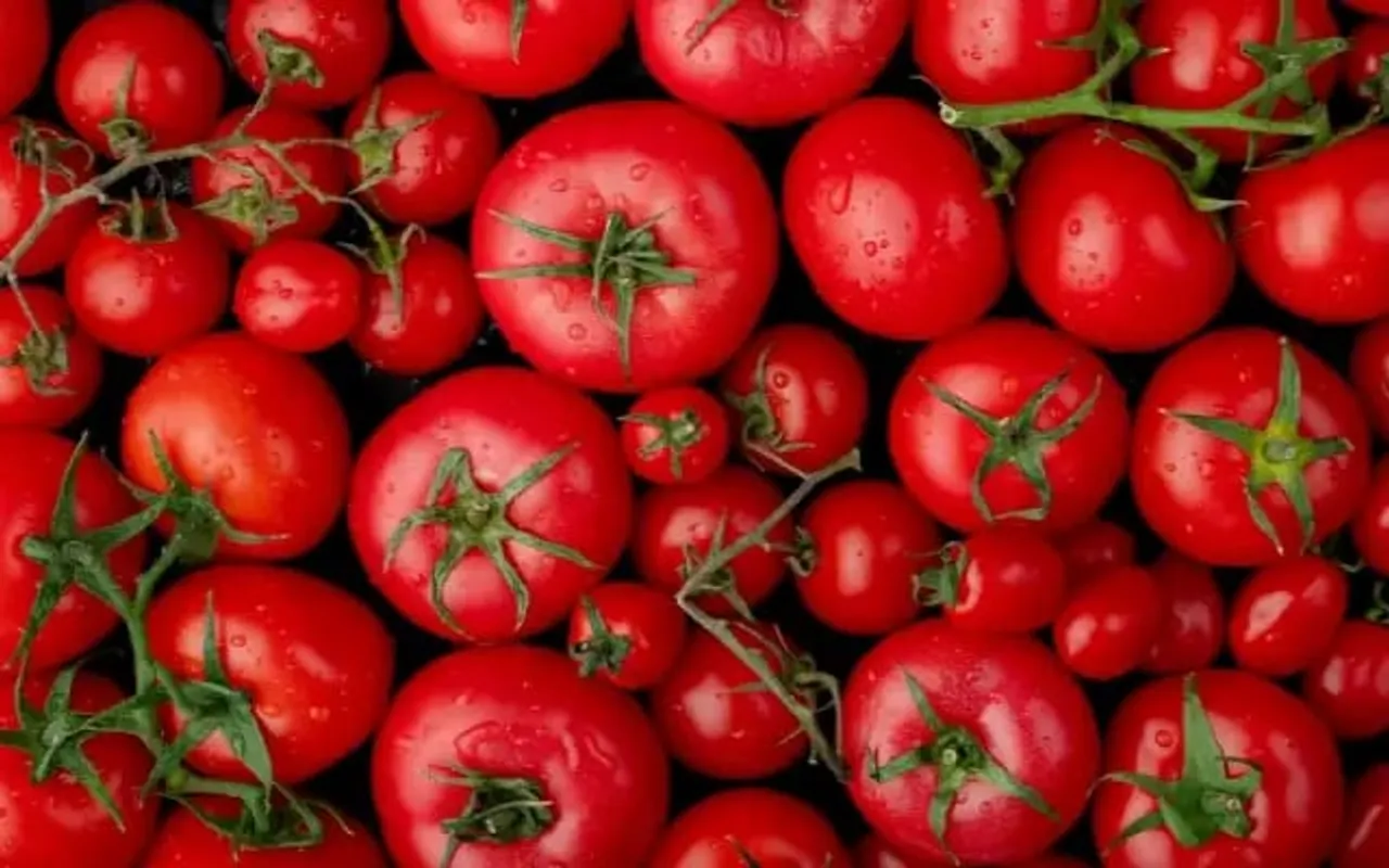 Amid Crisis, Centre To Procure Tomatoes From Key Producing States