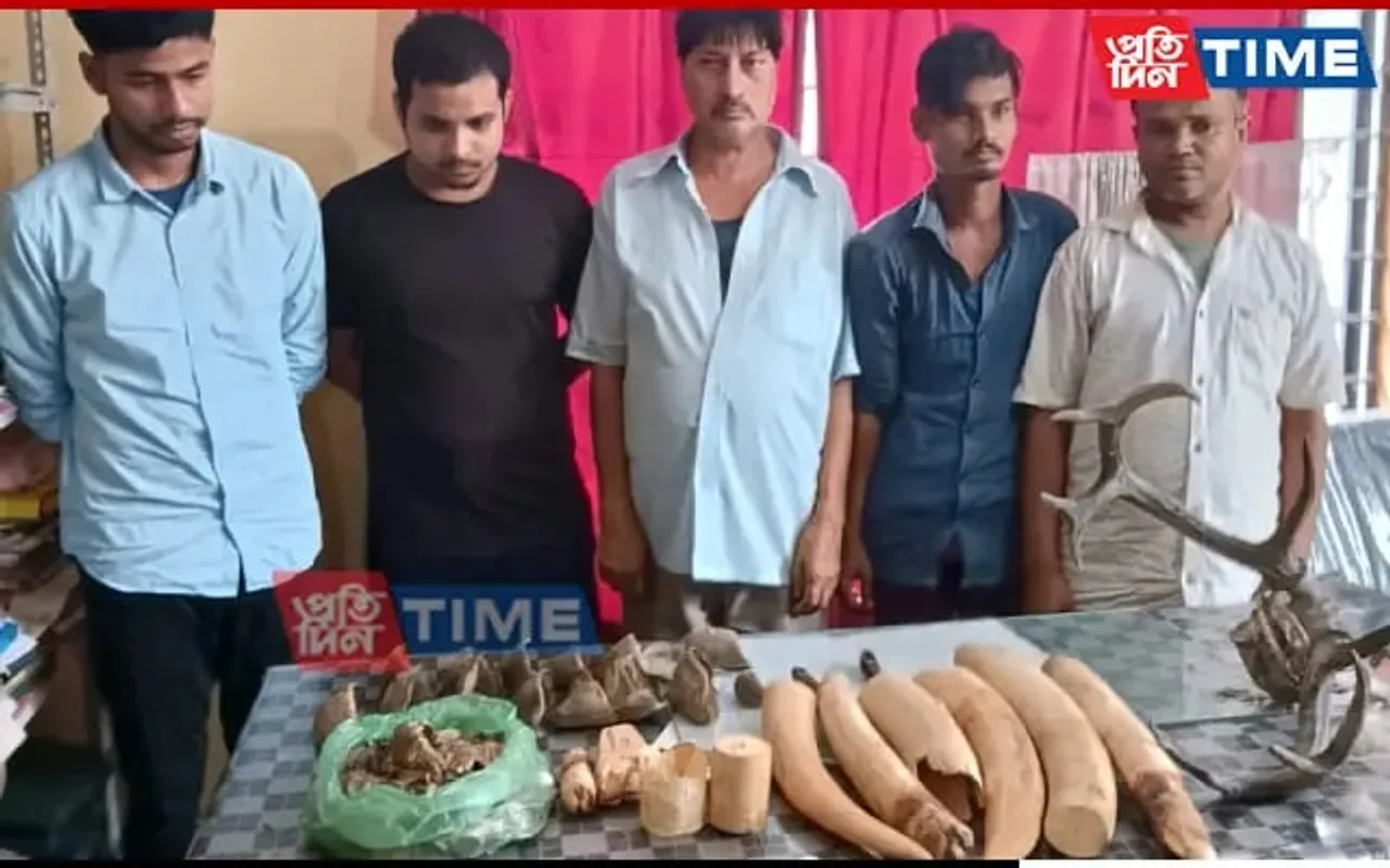 Assam: 5 Poachers Apprehended In Nagaon, Several Animal Parts Seized