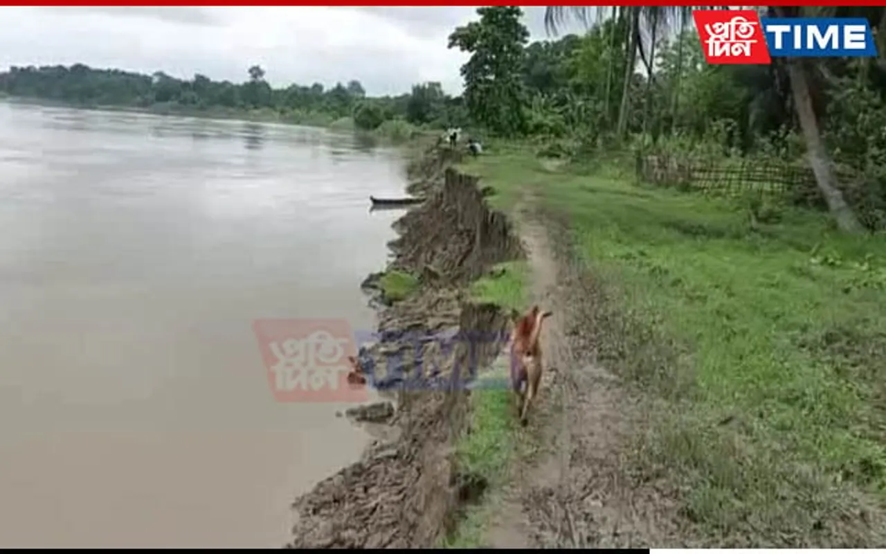 "Pijush Hazarika Should Help": Families Lose Their Homes in Golaghat as Dhansiri Wreaks Havoc