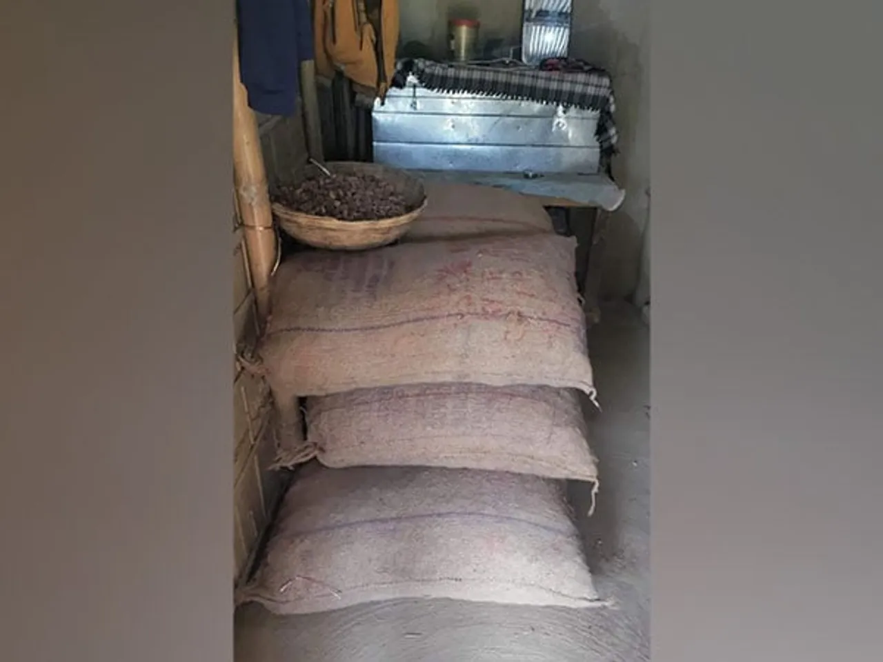Assam Police Seize 480 Kg Burmese Supari at Hailakandi; Two Held