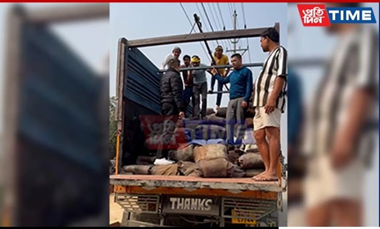 STF Seizes 4,000 kg Marijuana Worth Rs 10 Crore in Guwahati Raid