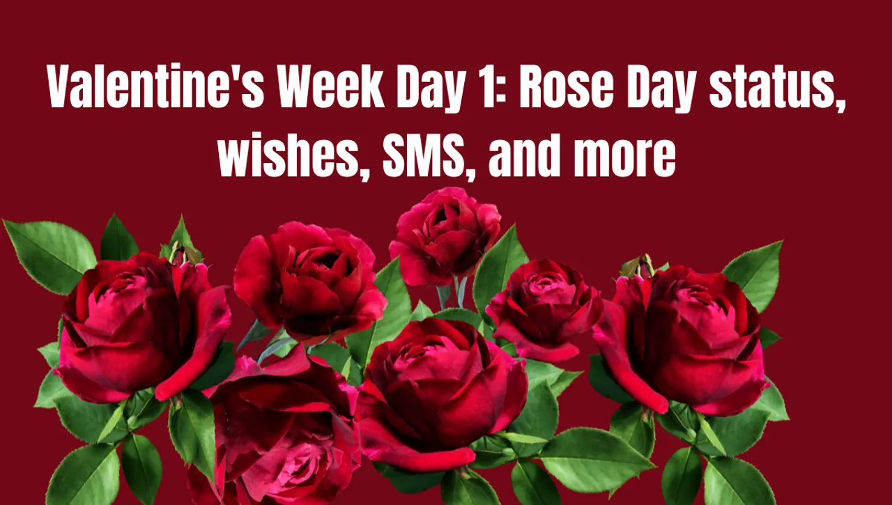Valentine's Week Day 1: Rose Day status, wishes, SMS, and more