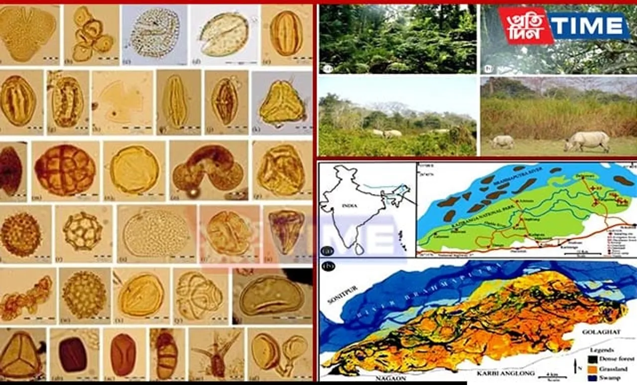 New Study Reveals Key Insights into Kaziranga's Past Climate and Vegetation