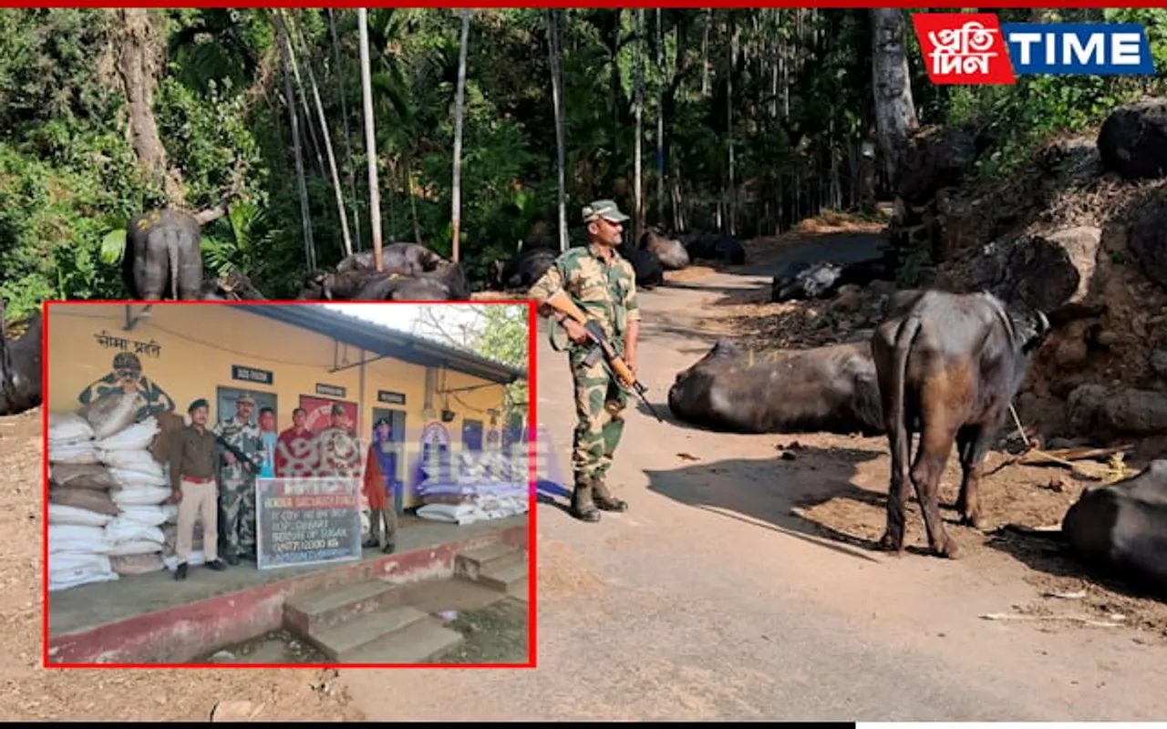 BSF Meghalaya Thwarts Cattle and Sugar Smuggling Attempts at Meghalaya Border