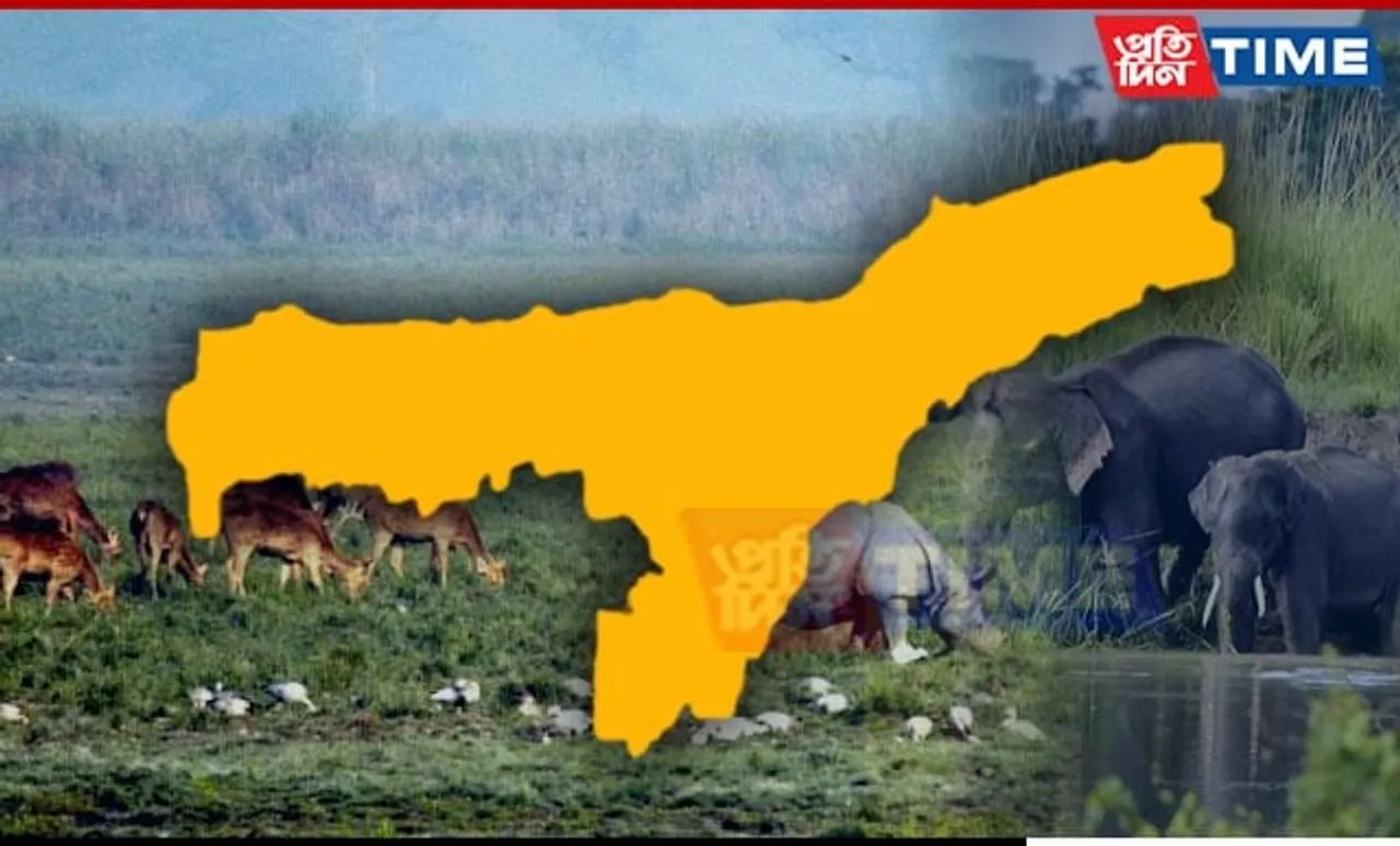 National Board for Wildlife Approves Five Mega Projects for Assam