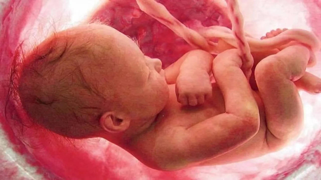 Indian Researchers Develop Accurate Fetal Age Model for Pregnancy Care