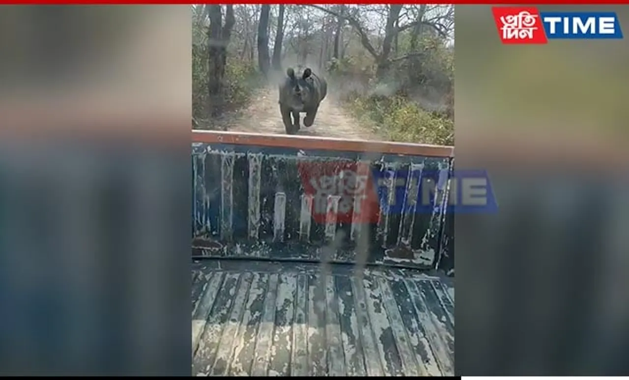 Forest Workers Face Perilous Encounter with Rampaging Rhino at Manas National Park
