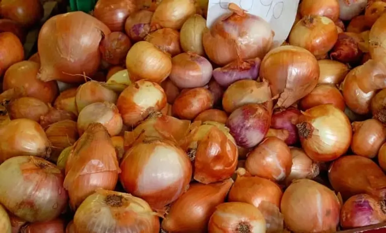 Government Greenlights Onion Exports Amidst Crop Concerns; Maharashtra Key Supplier