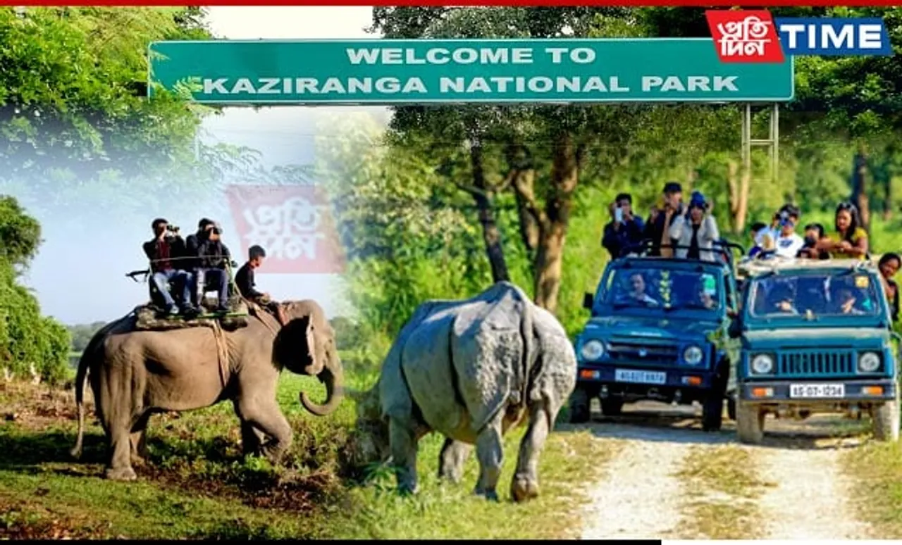 Kaziranga Records 3.27 Lakh Tourist Footfall in 2023-24, Highest Since Inception
